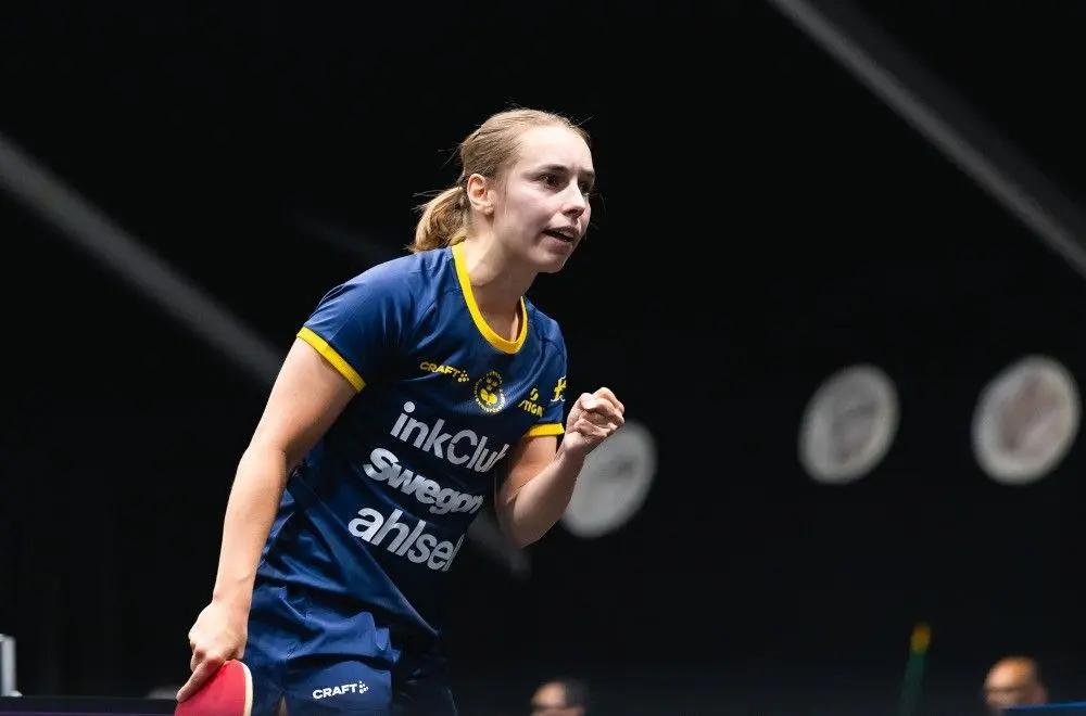 外卡, entit, 林高远 外卡, entit, 林高远