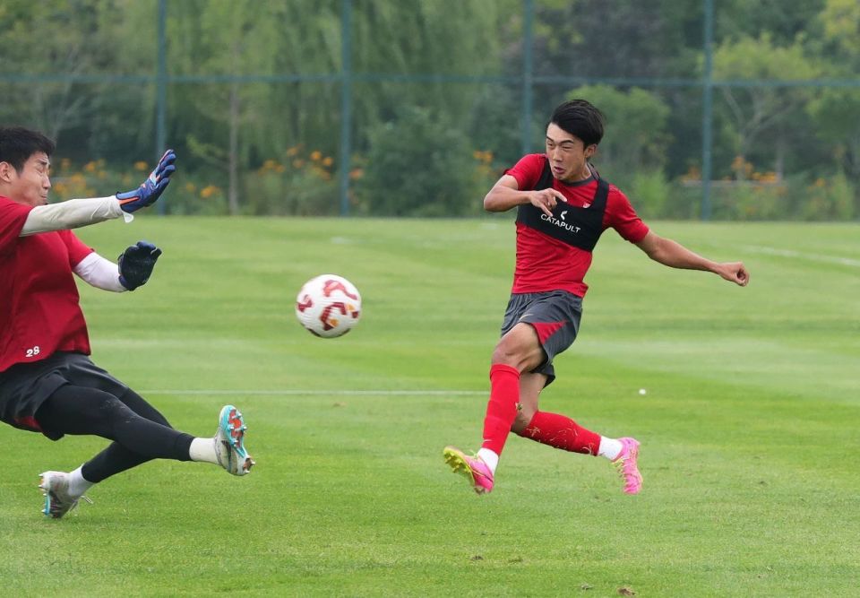 img, Tc, 名后防大将