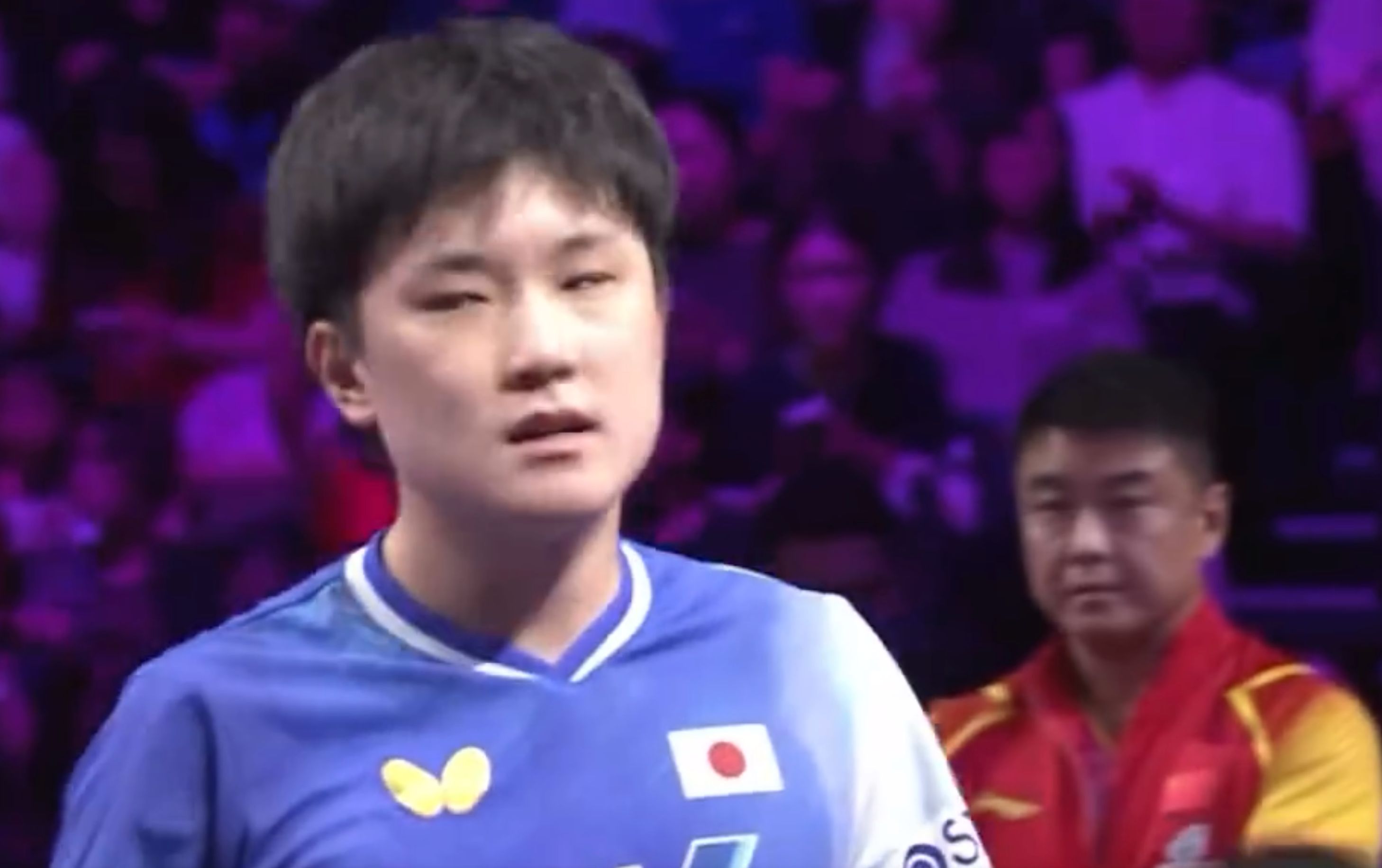 ws, 张本智和又, 恶人先告状 ws, 张本智和又, 恶人先告状