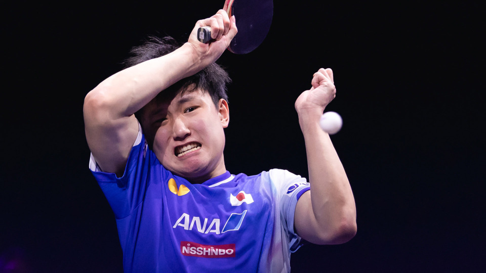 wwWEo, 欧洲冠军夏, 杀进决赛