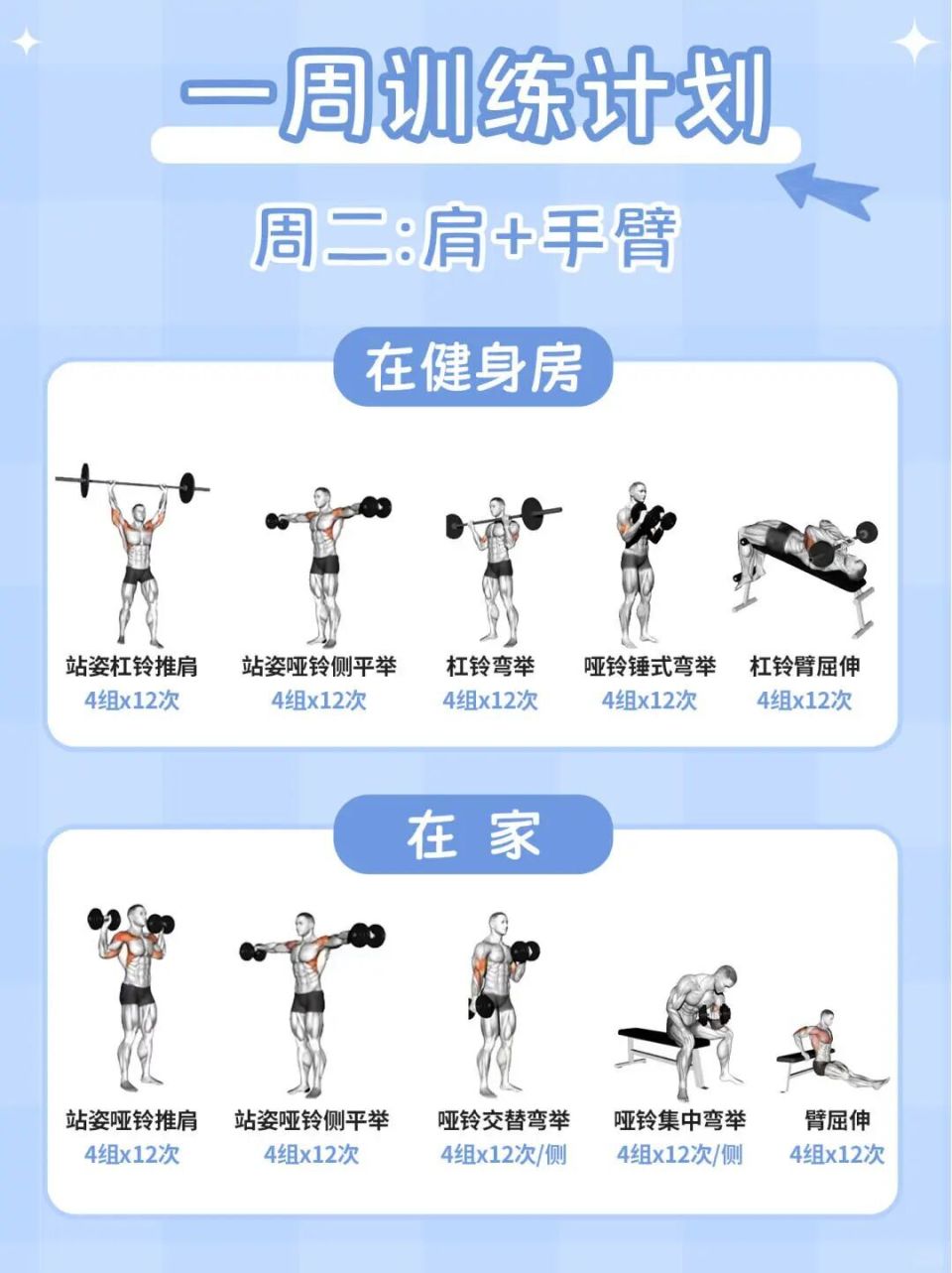 src, 小臂垂直地, 上提