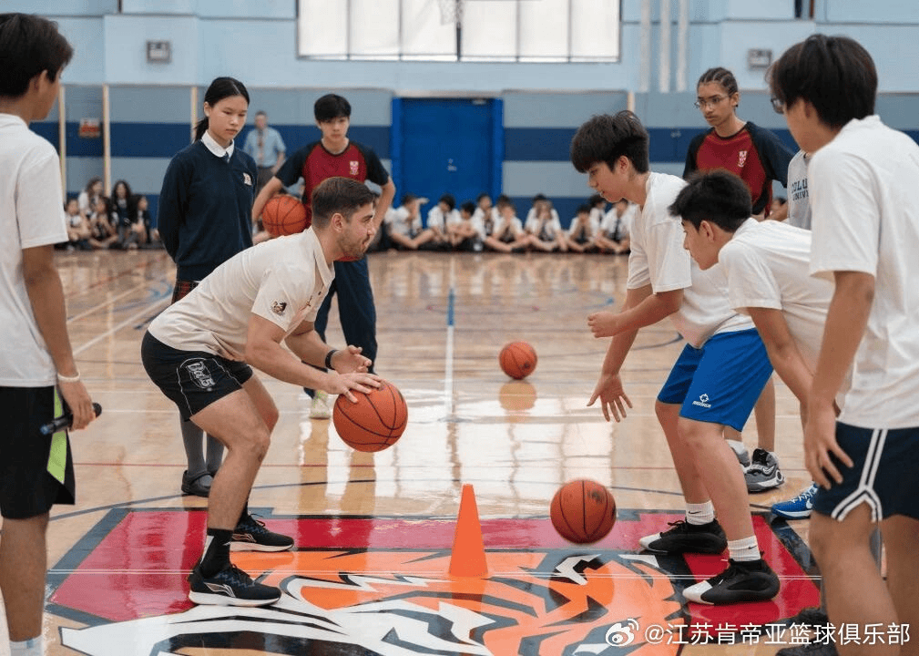 entit, 江苏男篮上